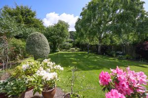 Garden- click for photo gallery